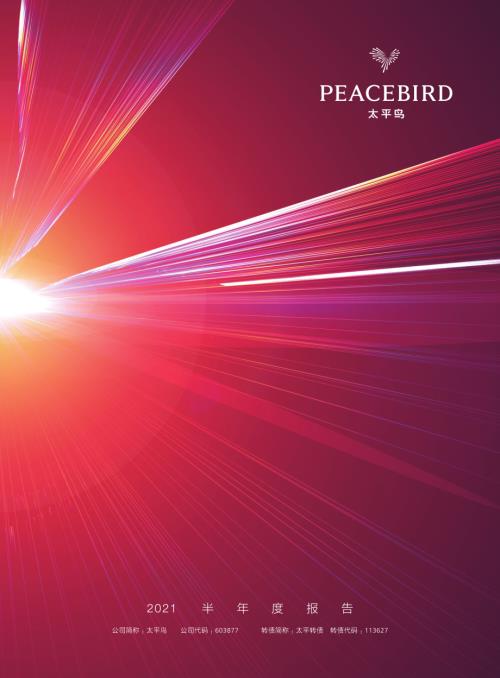 太平鸟：2021年半年度报告.PDF