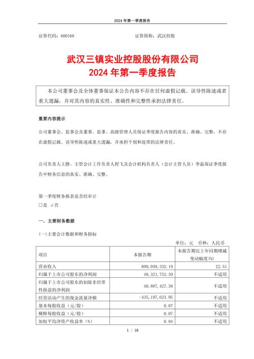 武汉控股：武汉三镇实业控股股份有限公司2024年一季度报告.PDF