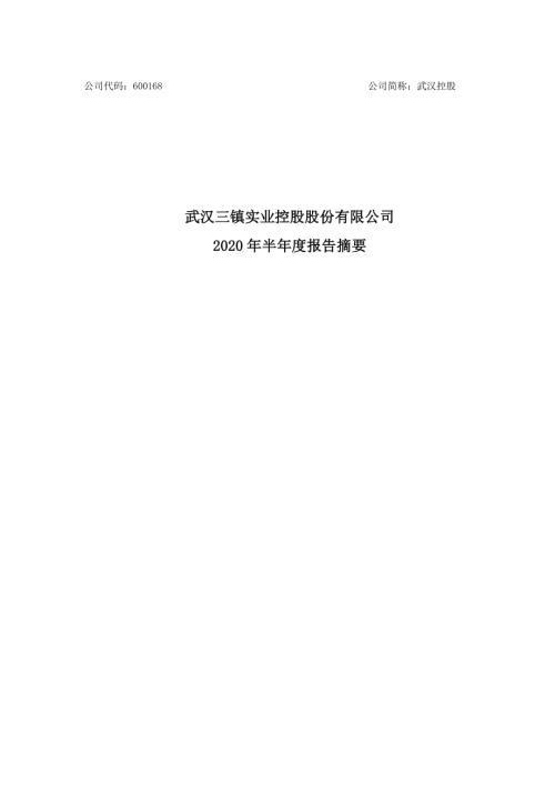 武汉控股：2020年半年度报告摘要.PDF
