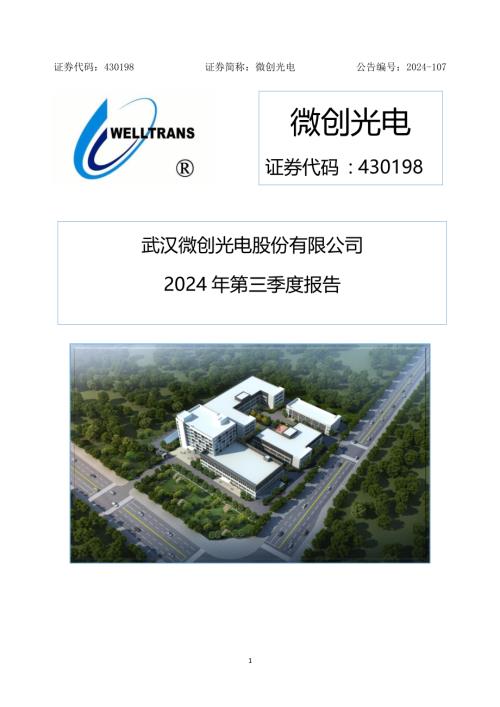定期报告-微创光电：2024年三季度报告.pdf