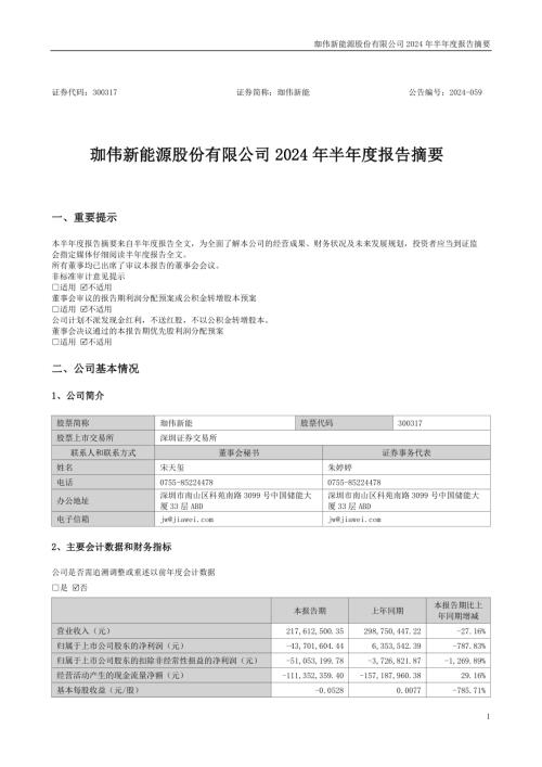 珈伟新能：2024年半年度报告摘要.PDF