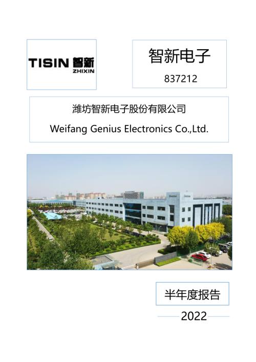 定期报告-智新电子：2022年半年度报告.pdf