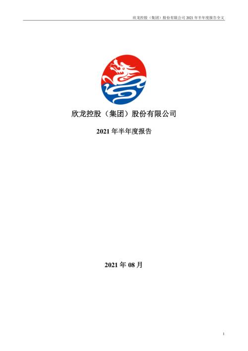 欣龙控股：2021年半年度报告.PDF