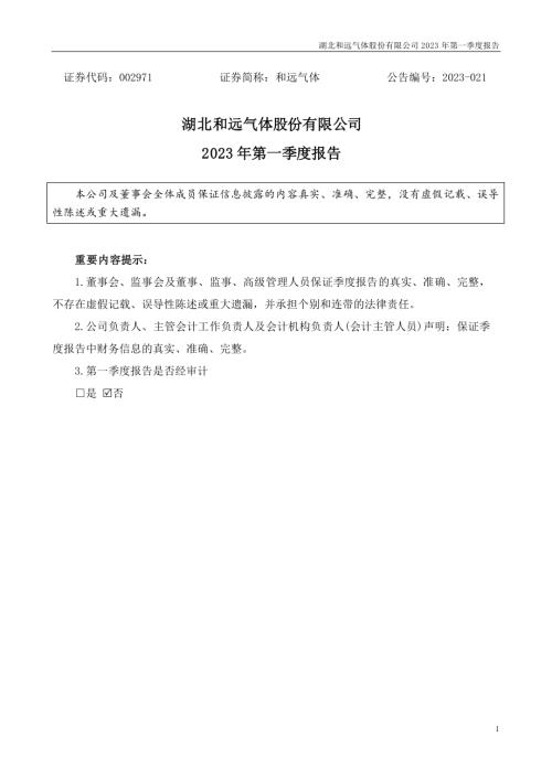 和远气体：2023年一季度报告.PDF