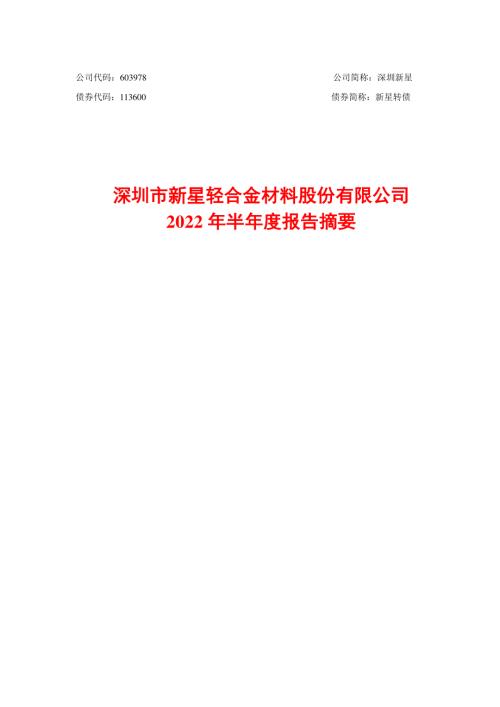 深圳新星：2022年半年度报告摘要.PDF