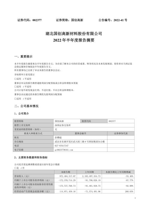 国创高新：2022年半年度报告摘要.PDF