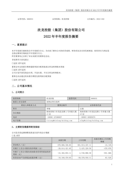 欣龙控股：2022年半年度报告摘要.PDF