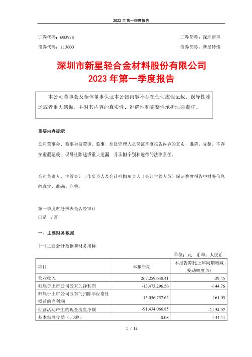 深圳新星：2023年第一季度报告.PDF