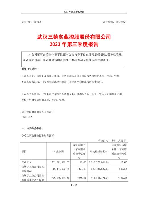 武汉控股：武汉三镇实业控股股份有限公司2023年第三季度报告.PDF