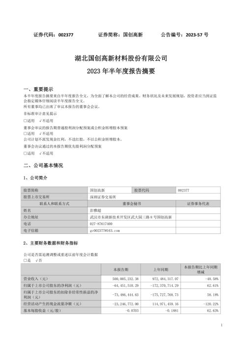 国创高新：2023年半年度报告摘要.PDF