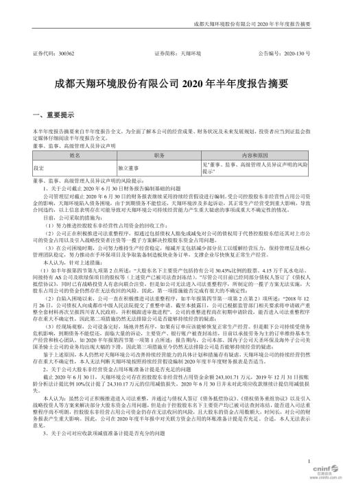 天翔环境：2020年半年度报告摘要.PDF