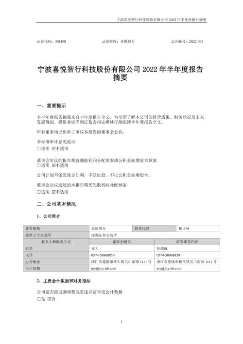喜悦智行：2022年半年度报告摘要.PDF