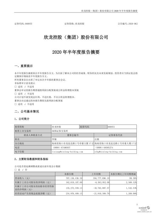 欣龙控股：2020年半年度报告摘要.PDF