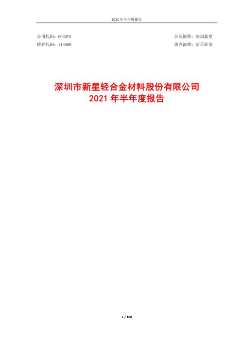 深圳新星：2021年半年度报告.PDF