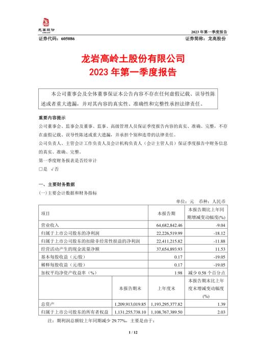 龙高股份：龙岩高岭土股份有限公司2023年第一季度报告.PDF