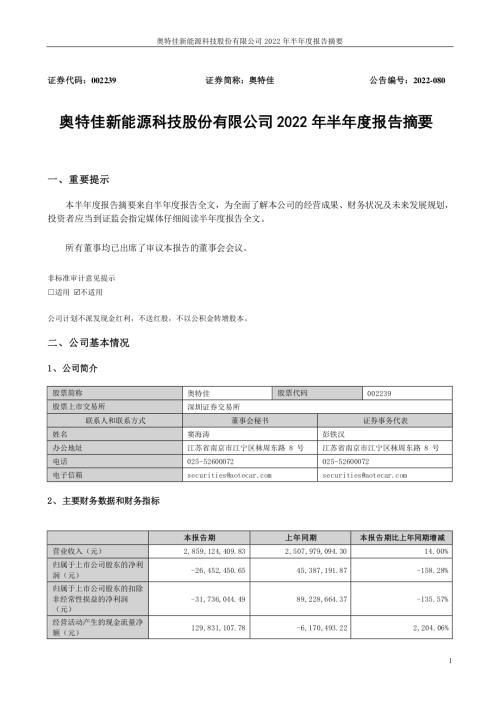 奥特佳：2022年半年度报告摘要.PDF