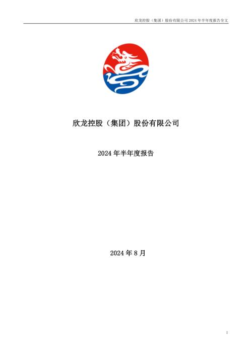 欣龙控股：2024年半年度报告.PDF