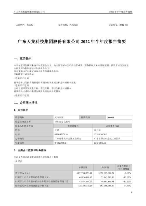天龙集团：2022年半年度报告摘要.PDF