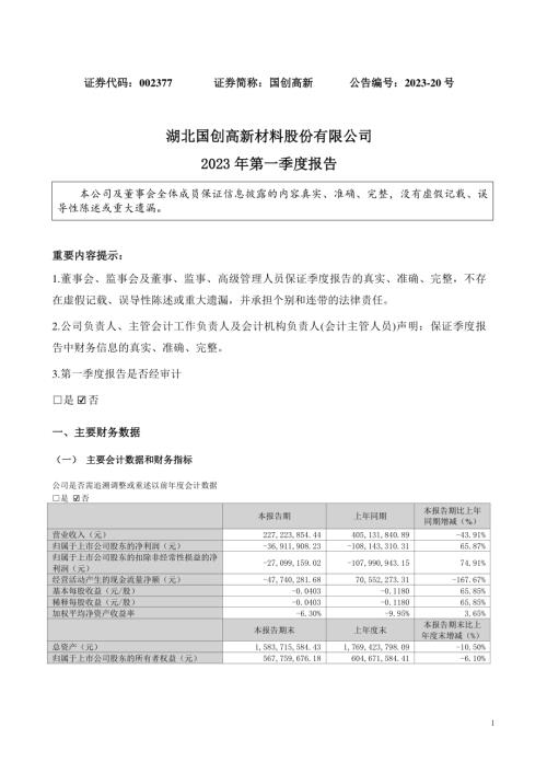 国创高新：2023年一季度报告.PDF