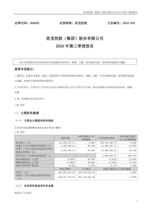 欣龙控股：2024年三季度报告.PDF