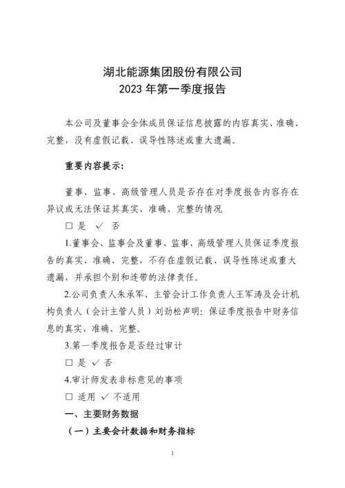 湖北能源：2023年一季度报告.PDF