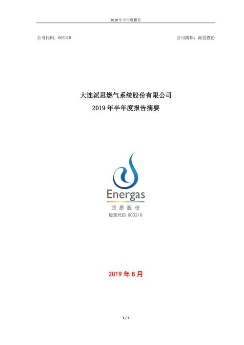 派思股份：2019年半年度报告摘要.PDF