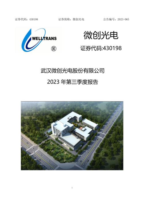 定期报告-微创光电：2023年三季度报告.pdf