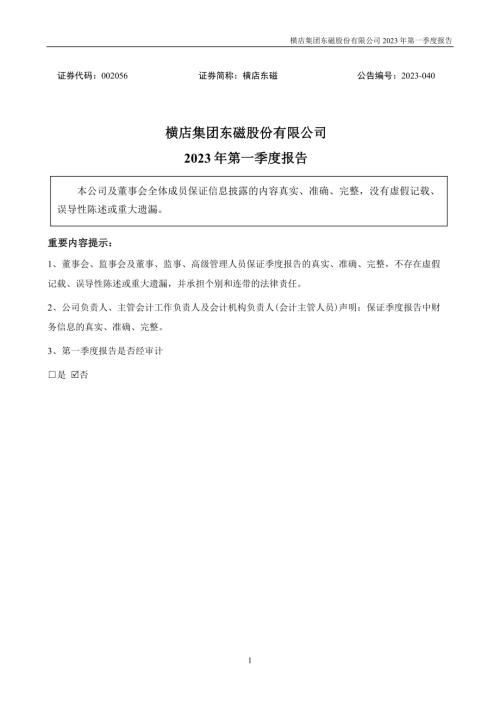 横店东磁：2023年一季度报告.PDF