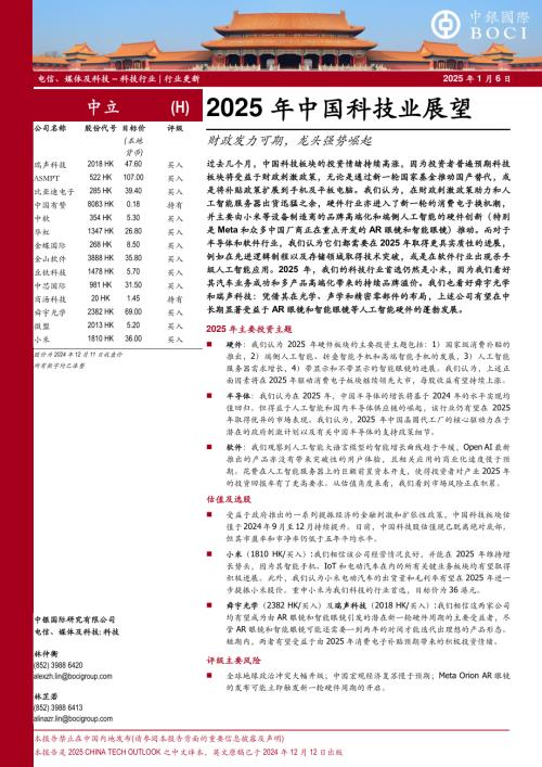 2025年中国科技行业展望：财政发力可期龙头强势崛起-250106（30页）.pdf