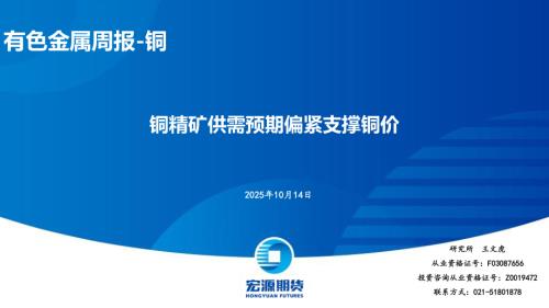 【宏源期货】有色金属周报-铜：铜精矿供需预期偏紧支撑铜价-251014（33页）.pdf
