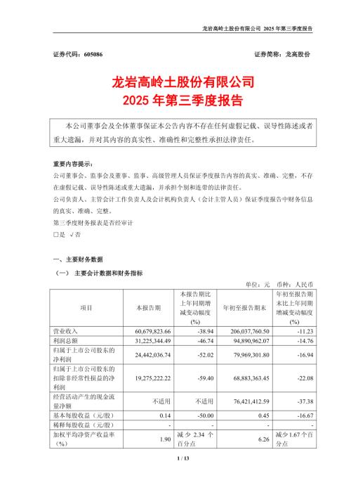龙高股份：龙岩高岭土股份有限公司2025年第三季度报告.PDF