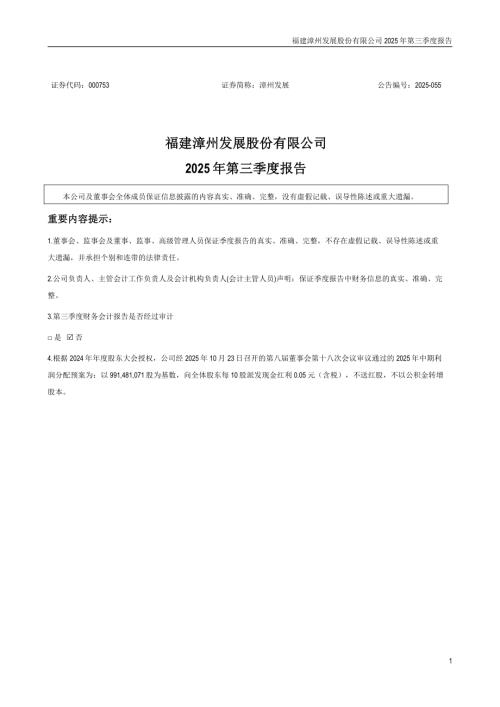 漳州发展：2025年三季度报告.PDF