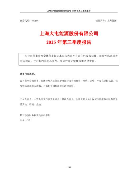 上海能源：上海能源2025年第三季度报告.PDF