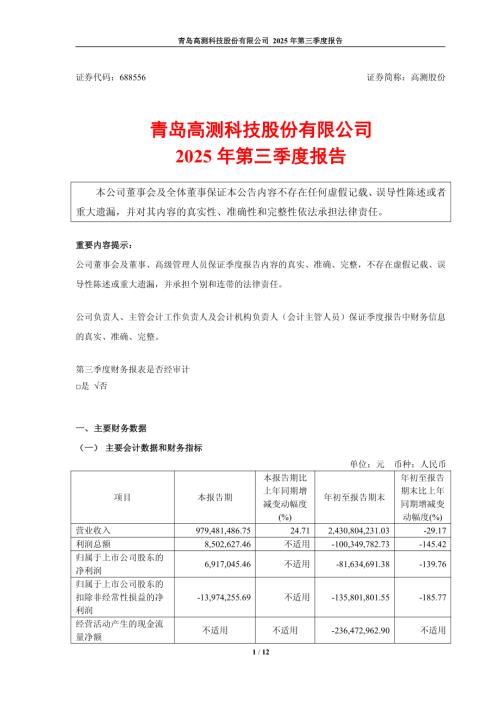 高测股份：2025年第三季度报告.PDF
