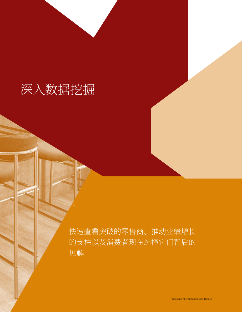 艾睿铂（AlixPartners）：2025家居行业消费者情绪指数报告：家居装饰vs消费意愿（英文版）（28页）.pdf_第13页