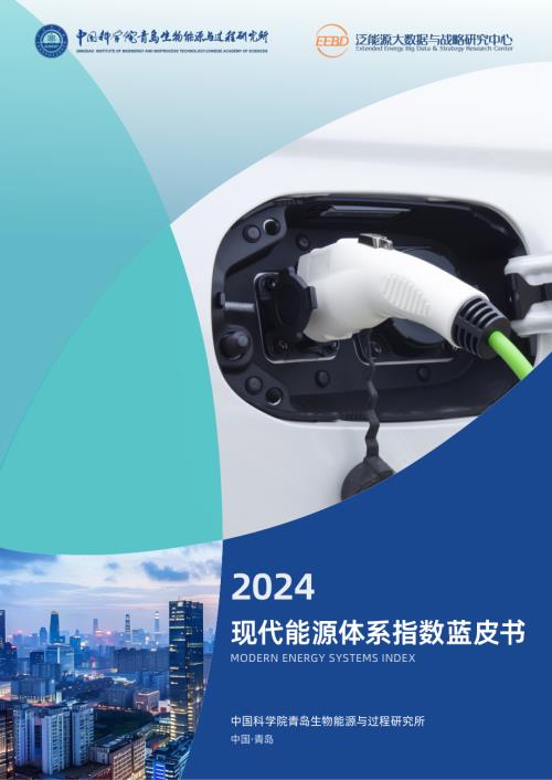 泛能源大数据：现代能源体系指数蓝皮书（2024）（83页）.pdf