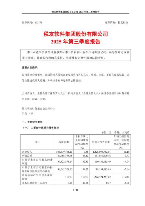 税友股份：2025年第三季度报告.PDF