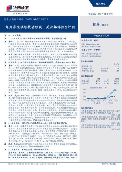 有色金属行业周报：电力存忧供给扰动频现关注铝弹性&红利-251109（21页）.pdf
