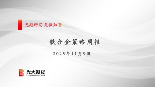 【光大期货】铁合金策略周报-251109（32页）.pdf