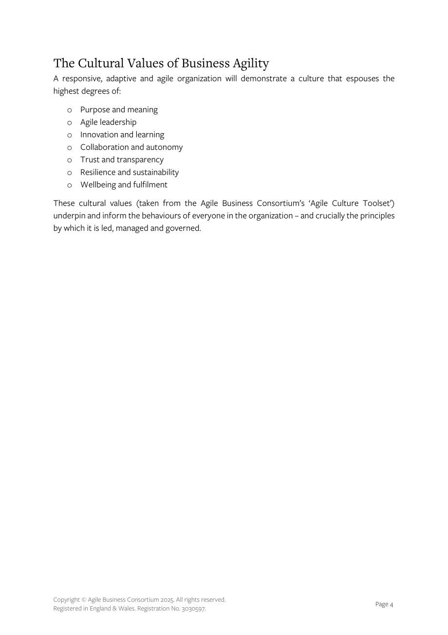 敏捷商业联盟：2025敏捷组织治理研究报告（英文版）（22页）.pdf_第5页