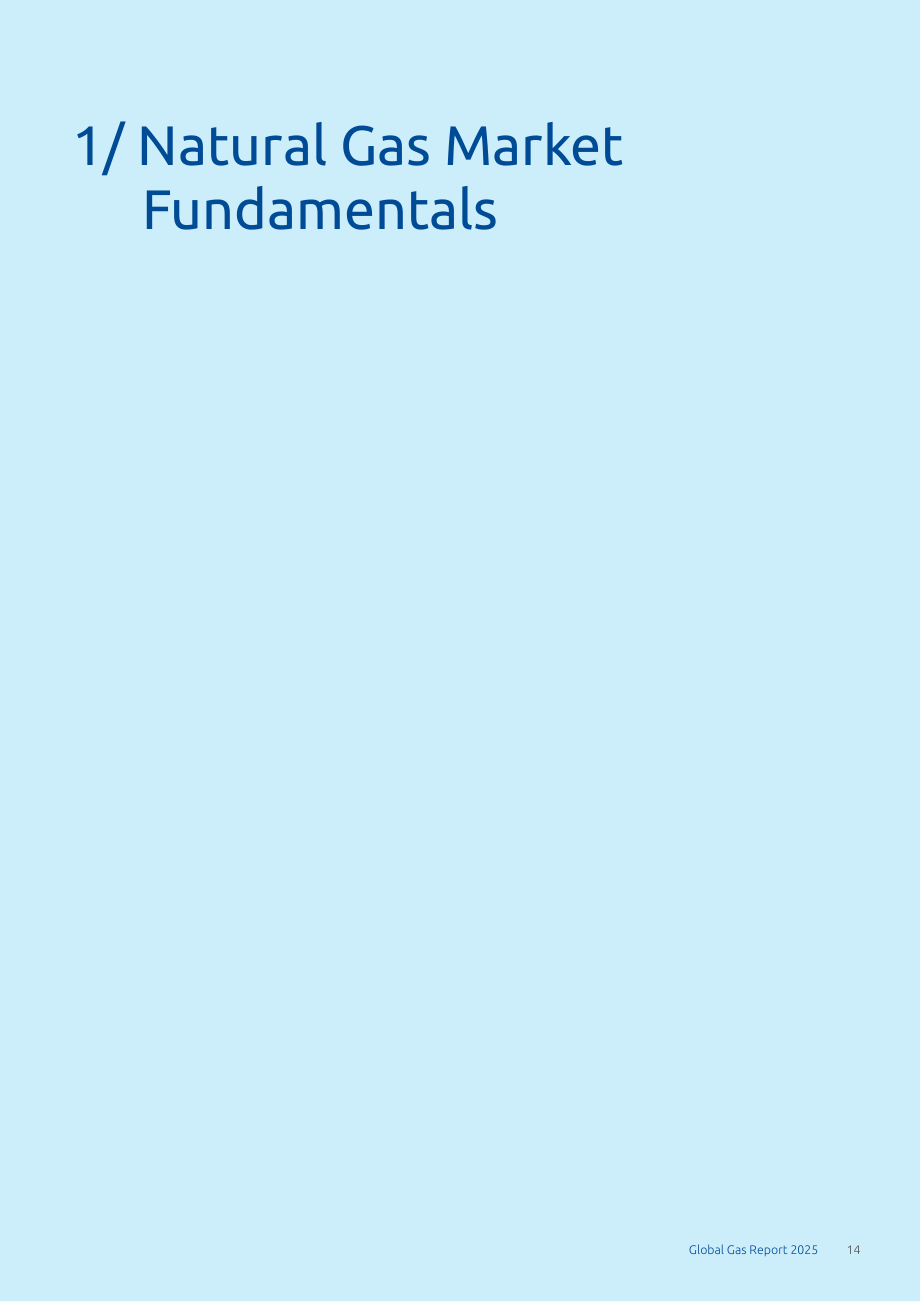 国际燃气联盟（IGU）：2025年全球天然气报告（英文版）（76页）.pdf_第14页