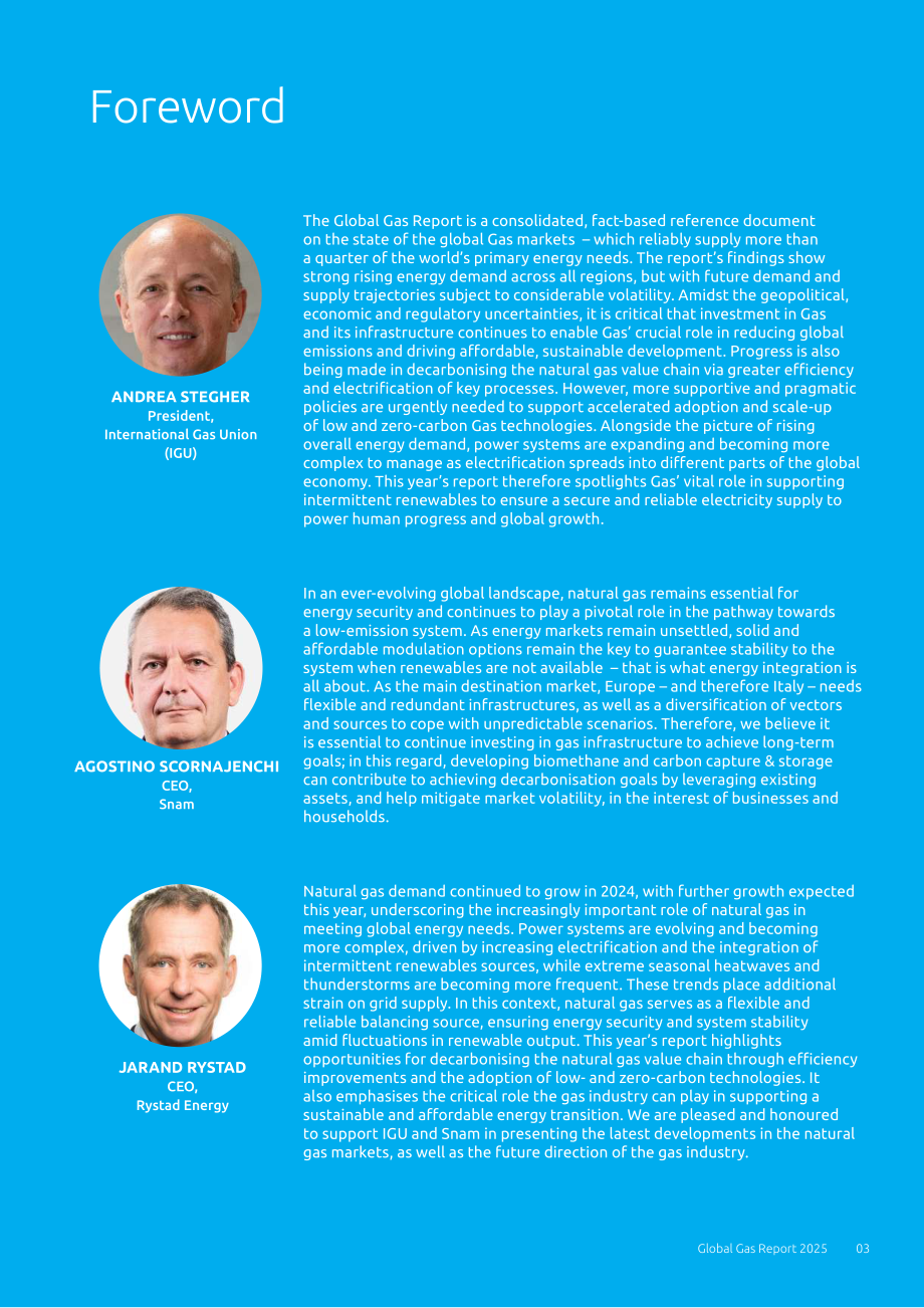 国际燃气联盟（IGU）：2025年全球天然气报告（英文版）（76页）.pdf_第3页