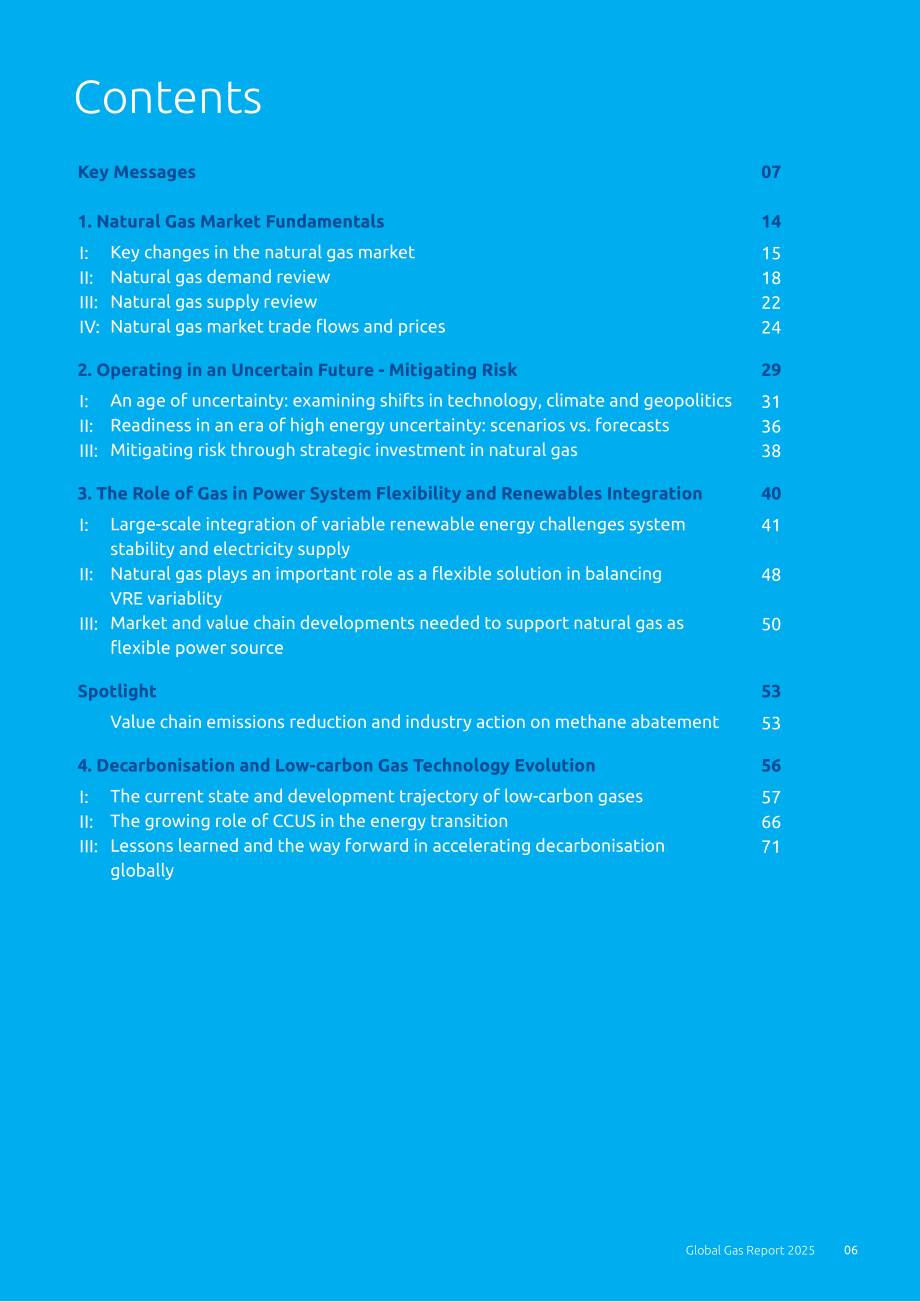 国际燃气联盟（IGU）：2025年全球天然气报告（英文版）（76页）.pdf_第6页