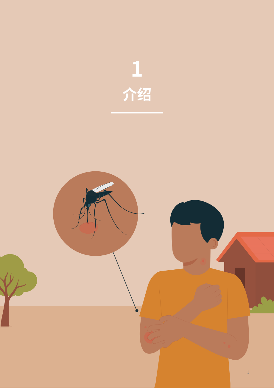 世界卫生组织：2025登革热病例管理指南：面向初级卫生保健与家庭护理（英文版）（36页）.pdf_第9页