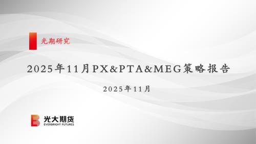【光大期货】2025年11月PX&PTA&MEG策略报告-251103（50页）.pdf