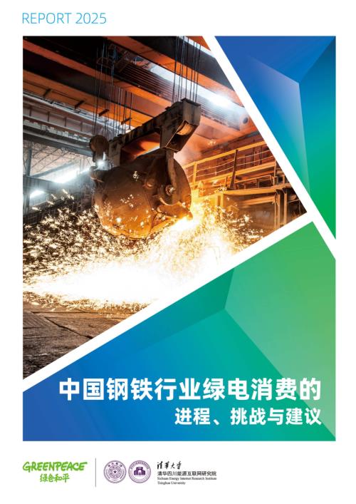 绿色和平：2025中国钢铁行业绿电消费的进程、挑战与建议报告（30页）.pdf
