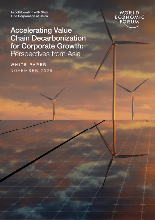 世界经济论坛：2025加速价值链脱碳以赋能企业增长：亚洲视角白皮书（英文版）（29页）.pdf