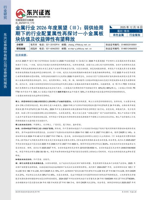 全球及中国不锈钢产量及同比增速（2020-2024）_第3页