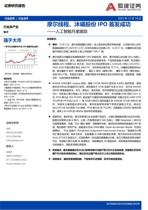 H200芯片与国产芯片性能对比_第2页