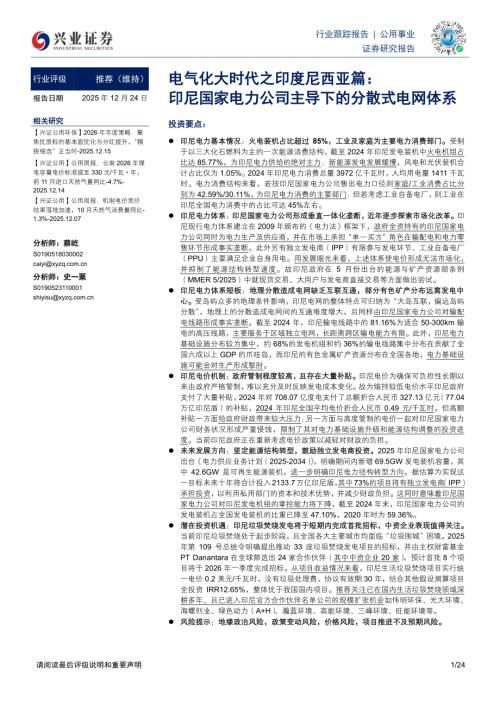 图6、截至2024年印尼官方统计全境电气化率高达99.83%_第2页